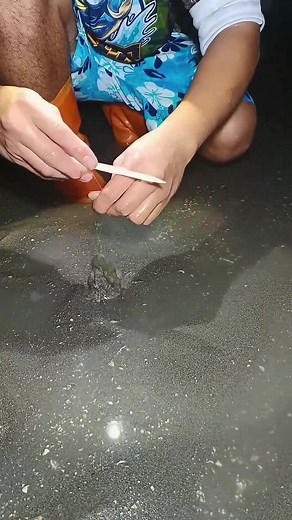 111K views · 141 reactions | A DIFFERENT KINDS OF PROCEDURE #amazing | Mr.Pringle | Facebook