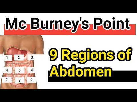 9 Regions of the Abdomen | Mc Burney's Point | abdomen anatomy