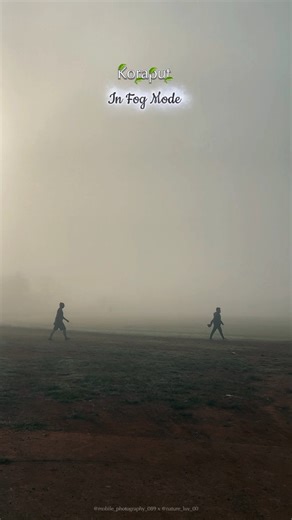 #koraput #koraputia #nature #foggymorning #foggyday #shortsfeed #trendingvideo