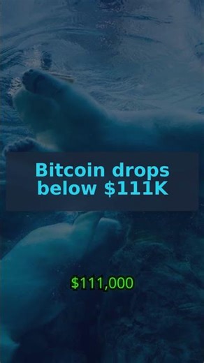 Crypto News - September 25th : Cloudflare launches a #stablecoin