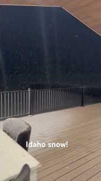 Good timing getting our St. Bernard into his new home. Heated, cozy doghouse for the winter. #dog