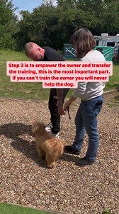 135K views · 2.2K reactions | I do enjoy working with the little dogs and it’s so nice to see owners not accepting behaviours just because the dog is small. #dogsofinstagram #dogtraining #viral | Southend Dog Training | Facebook