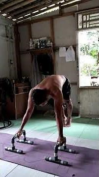 Latihan gerakan Planche danlainlain#plancheprogression #planche #pushday #pushdayworkout #statics