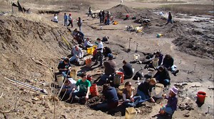 The Arlington Archosaur Site: a unique Cretaceous ecosystem and urban fossil dig