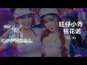 旺仔小乔 - 桃花诺 DjJK Electro Remix⚡ 热门DJ音乐 | DJ舞曲 | 慢摇
