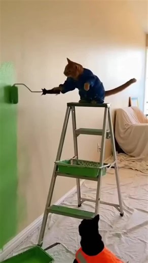 Gülməli TV (@_gulmeli.tv_)’s videos with original sound - Gülməli TV