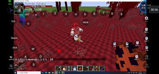 Phayriosis Parasite Infection方块对生物适成伤害的机制演示