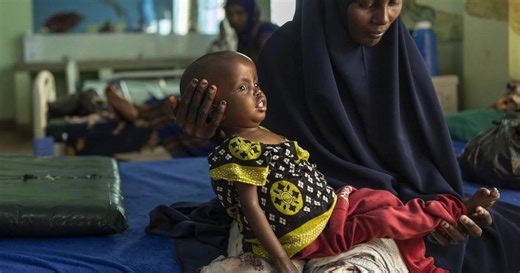 ‘Our children are next’: Kenyans are burning livestock that died due to drought