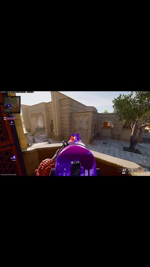 Call of Duty Ranked Play Insights