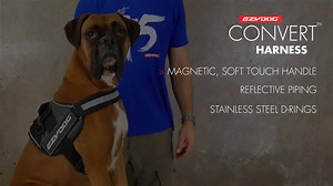 Check out our new Convert Harness video for all the great features and how to fit it to your dog www.ezydog.com | EzyDog