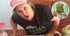 L'horticultrice Marthe Laverdière te donne des trucs pour faire ton jardin - Petit Petit Gamin