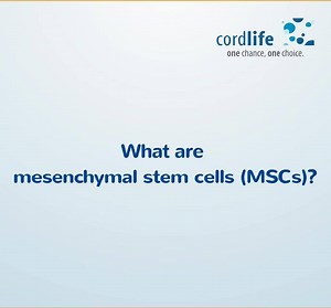 23 reactions · 14 shares | Let’s get to know Mesenchymal Stem Cells (MSCs) better! What is it, what can it do, and where is it found? Most importantly, why are more and more expectant mothers storing these stem cells upon the delivery of their baby? Watch the video to know more or book an appointment with our representatives: https://cordlife.ph/en/make-an-appointment #CordlifePH #OneChanceOneChoice #SaveYourCord | Cordlife Philippines | Facebook