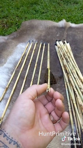 Ryan Gill (@huntprimitive)’s videos with original sound - Ryan Gill