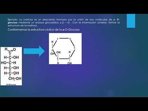 Enlaces Glucosídicos: Formación de disacáridos Introducción, y ejemplo Maltosa