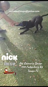 12K views · 225 reactions | 3-11-25 SAFE with McNeely Farmily Rescue...