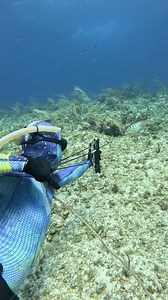 Underwater Archery Spearfishing for Grouper | Ryan Myers