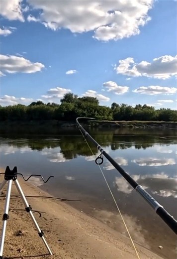 Live bait catfishing with Kraken feeders
