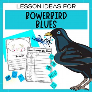 Lesson Ideas for Bowerbird Blues | National Simultaneous Storytime