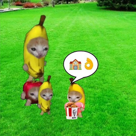 Baby Banana Cat School Day 😺❤️ #catmemes #cat #shorts #fyp #bananacat