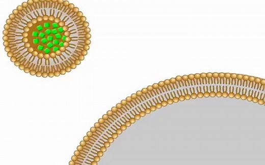 liposome脂质体包裹技术