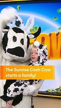 The Sunrise Cash Cow Starts a Family!