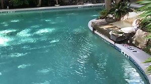 1.8K views · 153 reactions | WESTWINDS INN! Beautiful pool at...