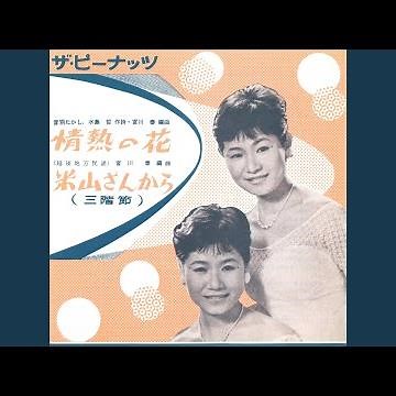 情熱の花