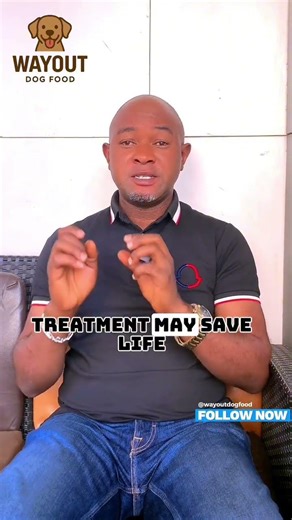 What the chances of your dogs surviving Parvovirus #dog #pets #petshub #fyp #foryou #fypシ #viral