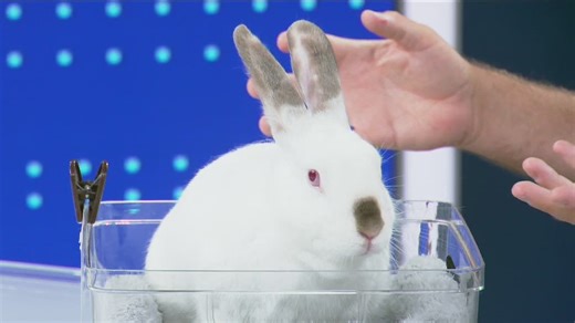 Helen Woodward Animal Center career camps offer hands-on learning