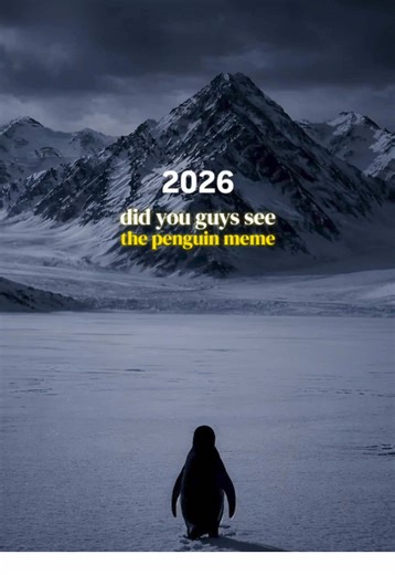 The penguin meme has us all hooked 🤣🐧 #penguinmeme | penguin