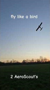 late day fly with the AeroScout planes, cold but gold, E-flight Hobbyzone AeroScout #spektrumrc