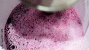 Bignay, Antidesma bunius home wine processing juice being drained into a plastic pail