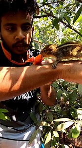 2.8K views · 98 reactions | Squirrel Cage Making️how to make squirrel cage, squirrel home,annaan kunju,squirrel cage making | Kamal Chelari | Facebook