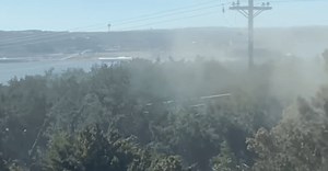 Do cedar trees have more rights than homeowners? Texas lawmakers pushes new bills to remove protections