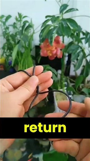 You Won’t Believe What Your Fish Can Grow! [Mini Aquaponics Hack] 🐟🌱