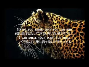 Animal Maroon5 日本語訳 歌詞付き