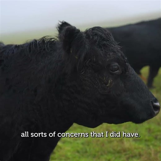 From intensive arable to thriving organic: The Balmerino transformation