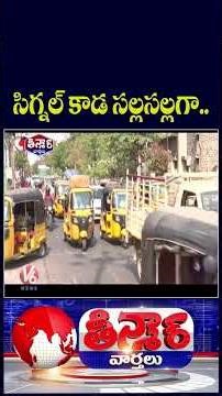 Traffic Police Installed Green Mats At Signals To Beat Summer Heat In Warangal | V6 Teenmaar