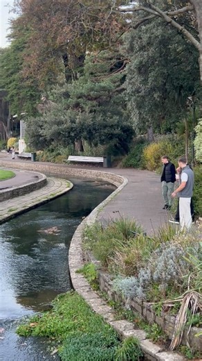 502K views · 7.4K reactions | Guette la magnifique bascule en slow motion qu'il nous offre mon Kevin!#ÀLaPlonge | La Sotizerie -stzr- | Facebook