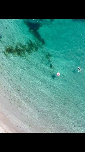 Those summer colours on Cornwalls south coast at Lansallos beach near Polperro 🌊 #cornwall #coast #drone #dronephotography #beautifulcornwall | Cornish drone photography