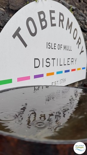 Looking for ideas to brighten up a rainy day on Mull? Here's a taste of a tour of the Tobermory Distillery to whet your appetite for all-things whisky. Find more things to do on Mull here: https://www.isleofmullcottages.com/isle-of-mull-things-to-do.html | Isle of Mull Cottages