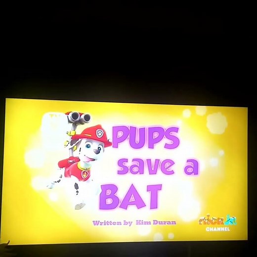 Paw Patrol 2013 2022 S1 Pups Save a Bat