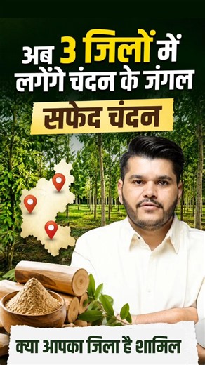 सफेद चंदन | Safed Chandan Amazing Facts | Current Affairs 2026 | By Kapil Choudhary Sir