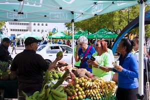 USDA unveils tool to help rural communities address COVID-19 pandemic - News is My Business