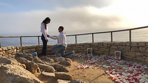 Ariella & David's Proposal