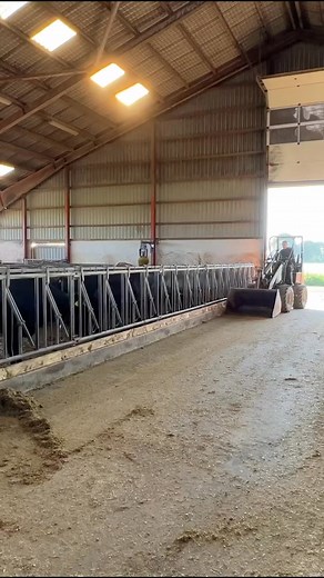 15K views · 85 reactions | Modern Dairy Farm Equipment | Cow Farm | Facebook