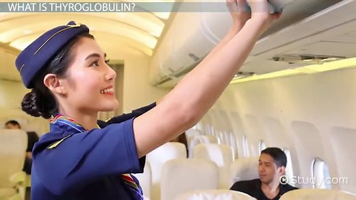 Thyroglobulin Antibody | Function, Range & Test