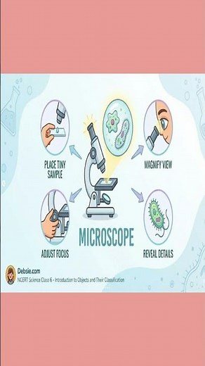 Characteristics of Living Organisms Explained | Ncert Science | Quick Recap