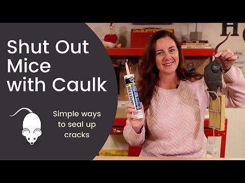 Keep Out Mice with Caulk