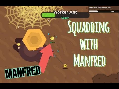 Squadding with Manfred! | Florr.io